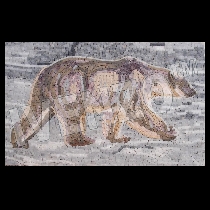 Mosaico orso polare
