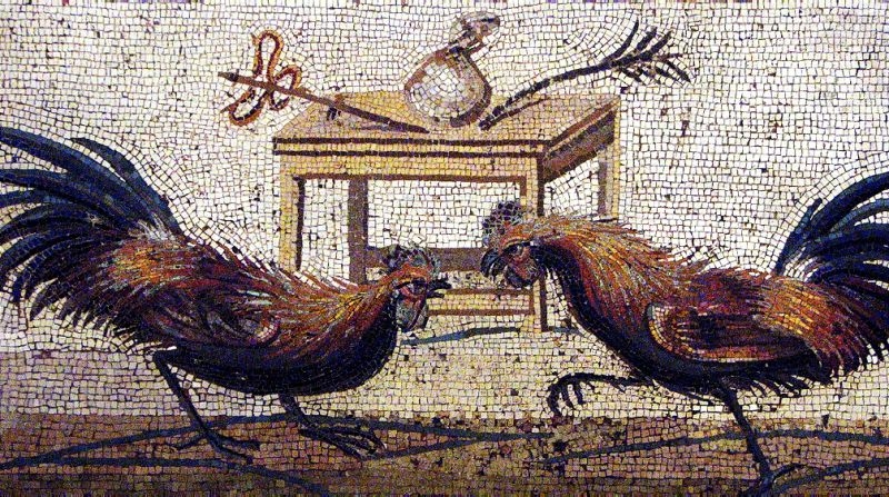 Mosaico AK008 Details combattimento di galli da Pompei 2