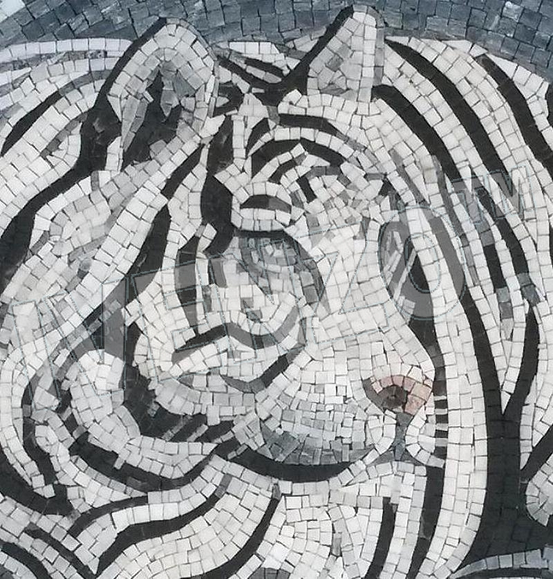 Mosaico AK053 Details tigre bianco 1