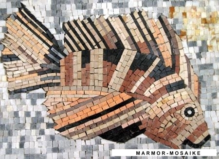 Mosaico CR195 Details acquario 3