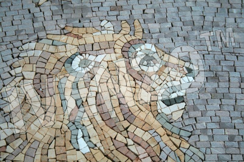 Mosaico FK011 Details segno zodiacale del leone 1