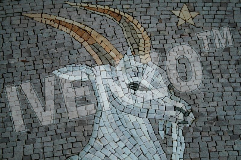 Mosaico FK016 Details segno dello zodiaco capricorno 1