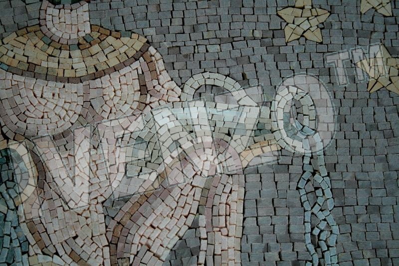 Mosaico FK017 Details segno zodiacale acquario 2