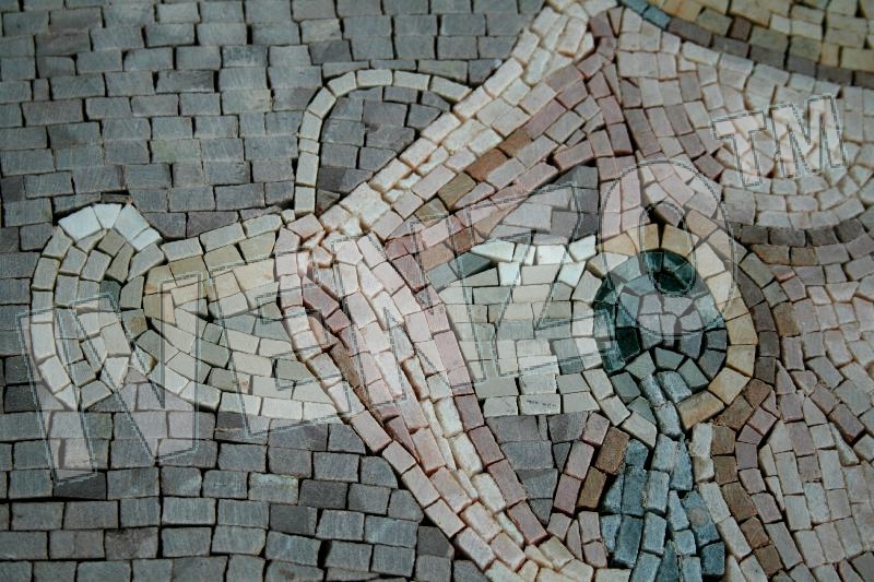 Mosaico FK017 Details segno zodiacale acquario 4