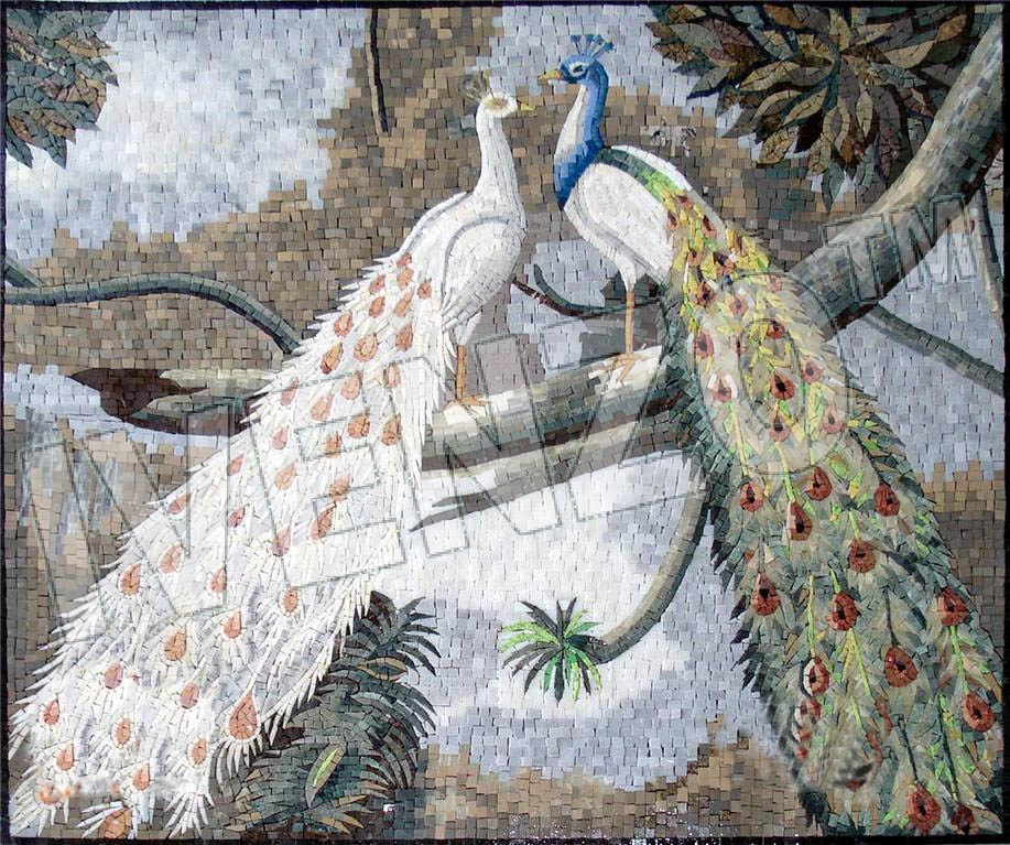 Mosaico AK006 un paio di pavoni