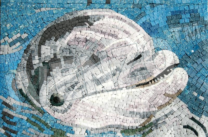 Mosaico AK009 delfino