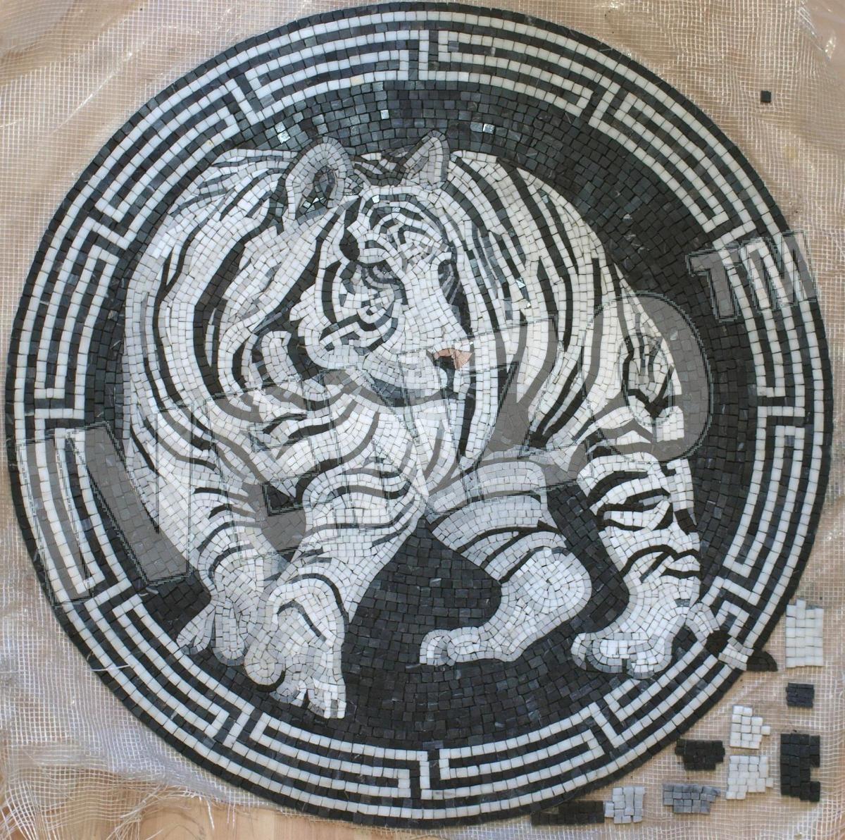 Mosaico AK025 tigre bianco