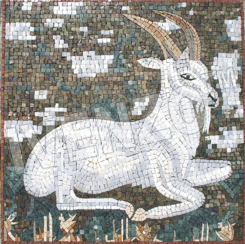 Mosaico AK051 capricorno