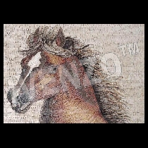 Mosaico testa di cavallo
