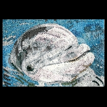 Mosaico delfino