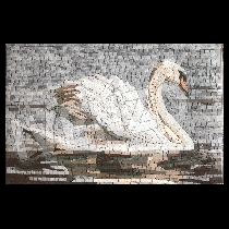 Mosaico cigno
