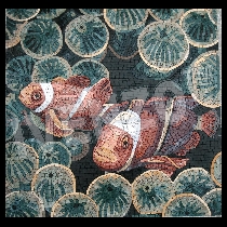 Mosaico pesci pagliaccio