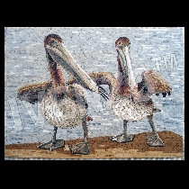 Mosaico pellicanos