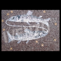 Mosaico segno zodiacale dei pesci
